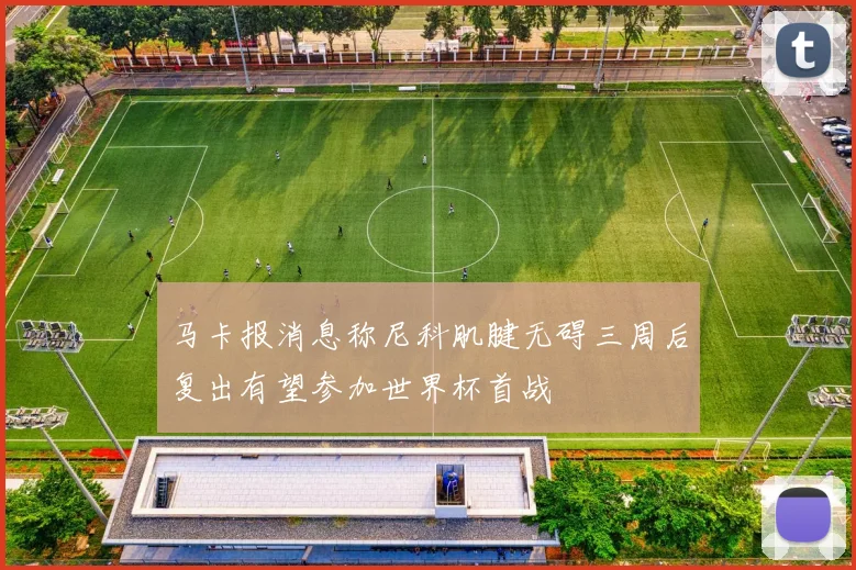 马卡报消息称尼科肌腱无碍三周后复出有望参加世界杯首战