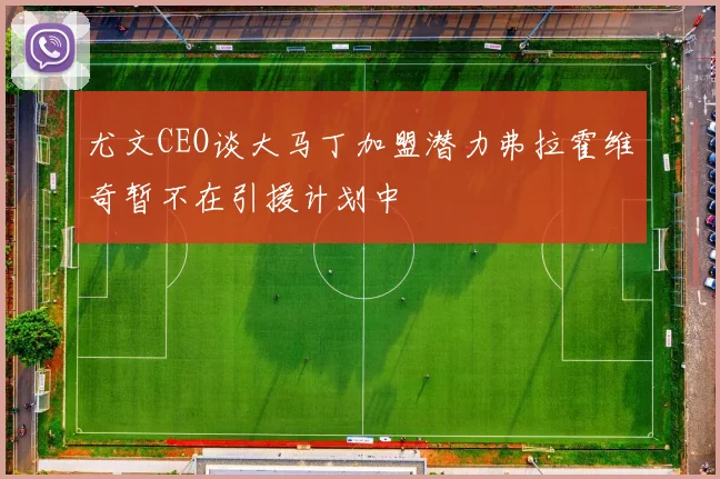 尤文CEO谈大马丁加盟潜力弗拉霍维奇暂不在引援计划中
